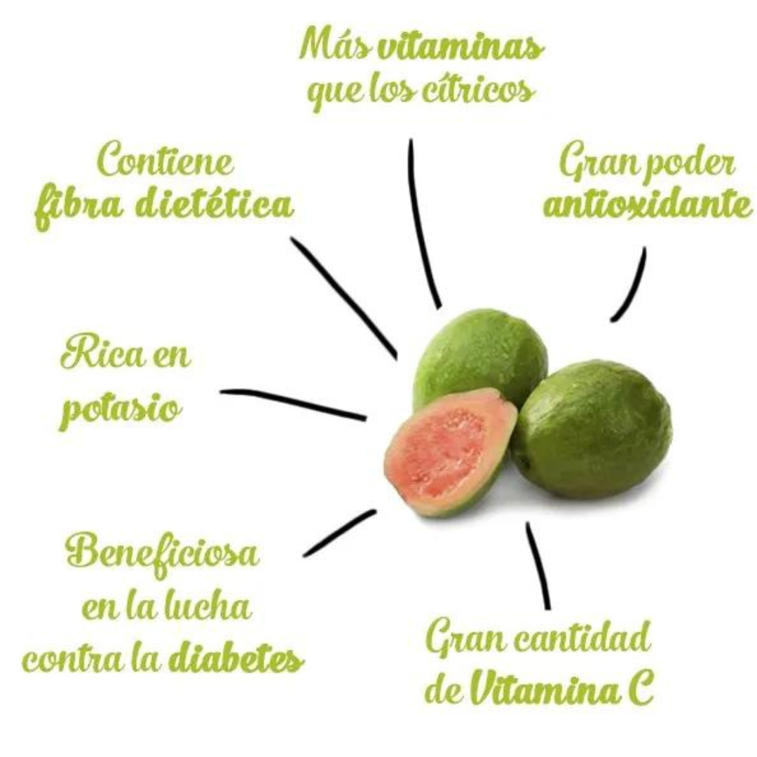 Bebida de Jugo Guava 490ml